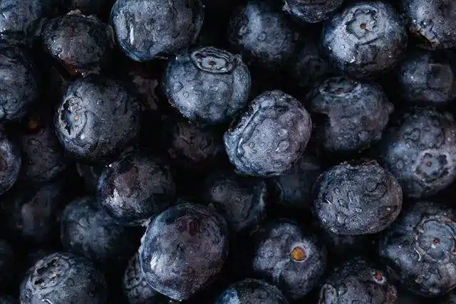 can dogs eat blueberries